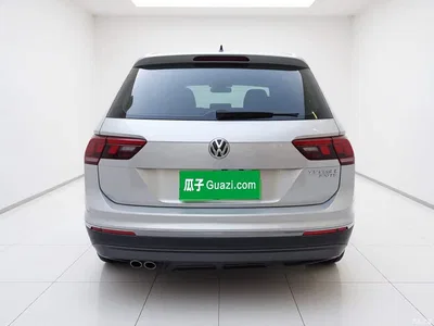 2019 Volkswagen Tiguan L 330TSI Automatic 2WD Smart Luxury Edition China VI, фото 3, лот 10829627