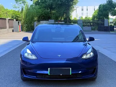 2021 Tesla Model 3 Standard Range Rear-Wheel Drive Upgrade, фото 2, лот 10362099