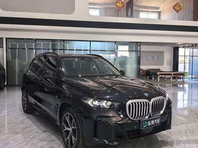 2023 BMW X5 xDrive 30Li Premium M Sport Black Night Package, фото 3, лот 10445757