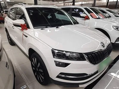 2021 Škoda Karoq TSI280 Luxury Edition, фото 4, лот 10389591