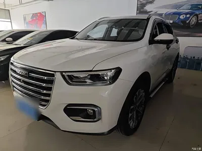 2020 Haval H6 1.5GDIT Automatic Platinum Champion Edition, фото 1, лот 10286766