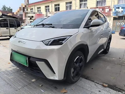 2024 BYD Seagull Glory Edition 305km Freedom Edition, фото 1, лот 11018414