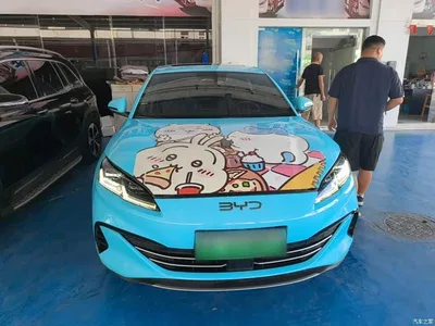2024 BYD Seal 06 New Energy DM-i 120KM Premium, фото 3, лот 10272737