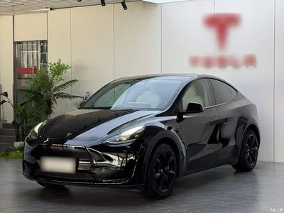 2022 Tesla Model Y Rear-Wheel Drive Version, фото 2, лот 10455495