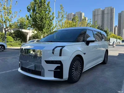 2022 ZEEKR 009 WE Edition, фото 2, лот 10305616