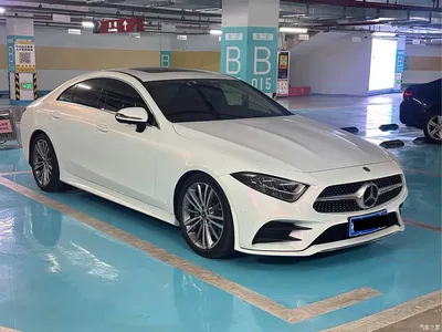 2021 Mercedes-Benz CLS Facelift CLS 300 Dynamic, фото 3, лот 10300754