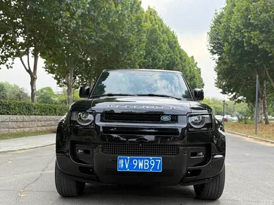 2025 Land Rover Defender 110, фото 2, лот 11214604