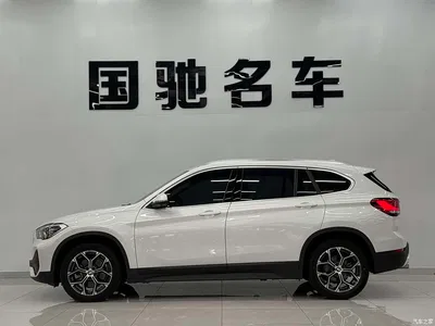 2022 BMW X1 sDrive25Li Leading, фото 3, лот 10428926