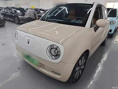 2022 Ora Black Cat 351km Standard (NMC), фото 1, лот 10330803