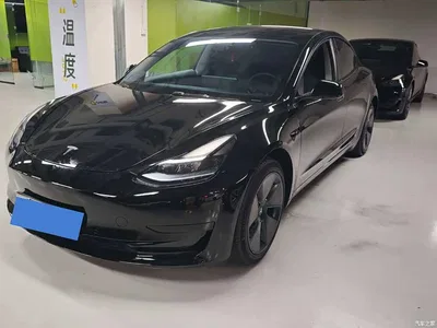 2023 Tesla Model 3 Rear-Wheel Drive, фото 1, лот 10303165