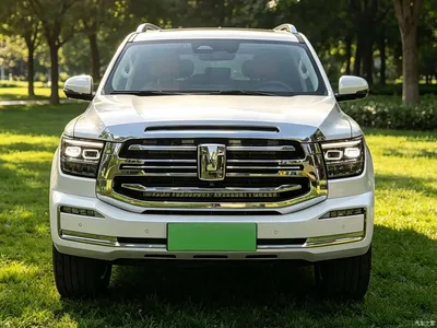2024 Tank 500 EV Hi4-T, фото 2, лот 10344993