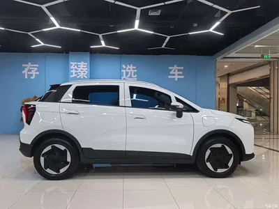 2024 Geely E Firefly Model 301km Starlight, фото 4, лот 11155738