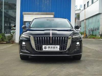 2024 Hongqi H5 2.0T Automatic Smart Connect Flag Smooth Edition, фото 2, лот 10287049