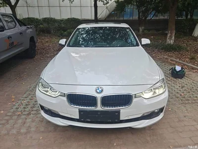 2016 BMW 3 Series 320Li Progressive, фото 3, лот 10457775