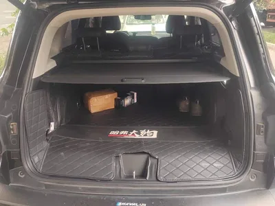 2021 Haval Big Dog 1.5T DCT 2WD Malinois Edition, фото 4, лот 10902232