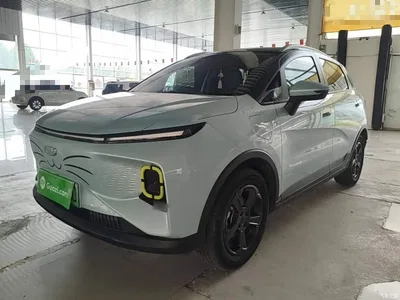 2022 Geely E Firefly 401KM Delicate Tiger 4-seater, фото 1, лот 11155759