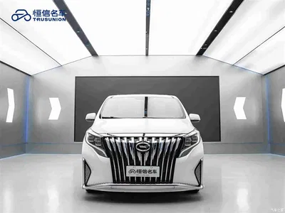 2021 GAC Trumpchi Trumpchi M8 Leading Show Series 390T Premium Edition, фото 2, лот 10417040