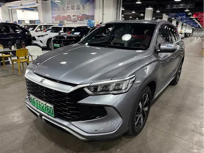 2024 BYD Song Pro New Energy Glory Edition DM-i 71KM Pilot, фото 2, лот 10273226