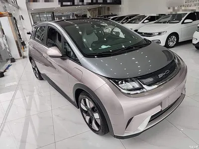 2021 BYD Dolphin 401km Knight Edition, фото 4, лот 10259739