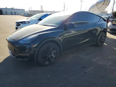 2023 TESLA MODEL Y, фото 1, лот 10852063