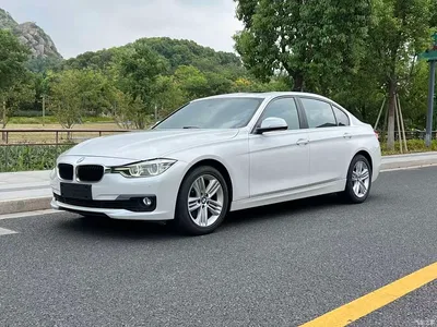 2017 BMW 3 Series 320Li Fashion, фото 1, лот 10813079