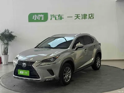 2020 Lexus NX 200 FWD Sharp Edition China VI, фото 1, лот 10310949