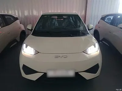 2025 BYD Seagull Smart Drive Edition 305km Vitality Version, фото 3, лот 10263023