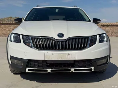 2018 Škoda Octavia Model Wagon TSI230 DSG Luxury Edition, фото 2, лот 10361931
