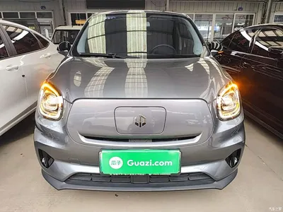 2021 Leapmotor T03 400 Comfort Edition, фото 3, лот 10442499
