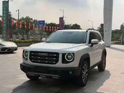 2021 Haval Big Dog 1.5T DCT 2WD Border Collie Edition, фото 1, лот 11089085