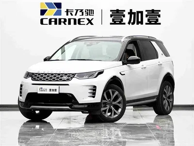 2024 Land Rover Discovery Sport Luxury Custom Edition, фото 1, лот 10322468