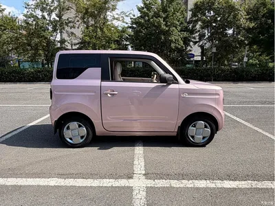 2023 Geely Galaxy Panda Mini 200km Endurance Bear, фото 4, лот 11398381