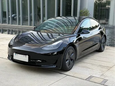 2021 Tesla Model 3 Standard Range Rear-Wheel Drive Upgrade 3D6, фото 1, лот 10368590