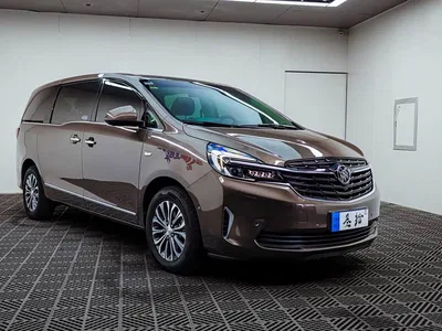 2020 Buick GL8 Land Business Class 652T Premium, фото 4, лот 10257608