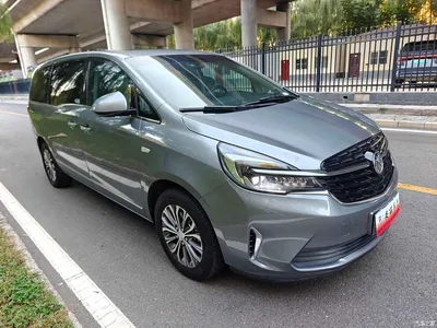 2022 Buick GL8 Land Business Class 652T Luxury, фото 3, лот 11568113