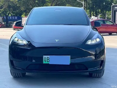 2021 Tesla Model Y Facelift II Long Range AWD, фото 2, лот 11197676