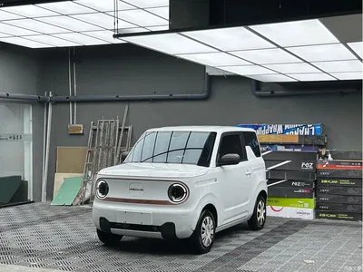 2023 Geely Galaxy Panda Mini 200km Endurance Bear, фото 3, лот 10432313