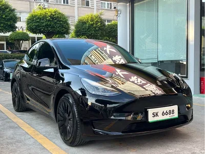 2022 Tesla Model Y Rear-Wheel Drive Version, фото 3, лот 11585455