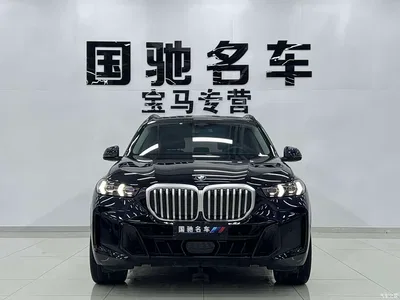 2023 BMW X5 xDrive 30Li Premium M Sport Black Night Package, фото 3, лот 10410997