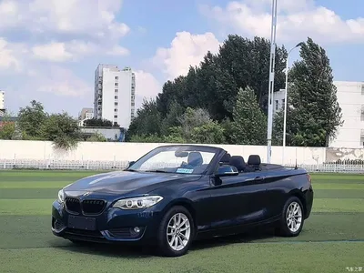2015 BMW 2 Series (Import) 218i Convertible Coupe, фото 1, лот 10460040