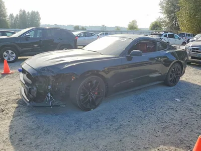 2017 FORD MUSTANG GT, фото 1, лот 10531635