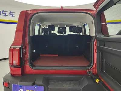 2021 Tank 300 Off-road Version 2.0T Conqueror, фото 4, лот 10766468