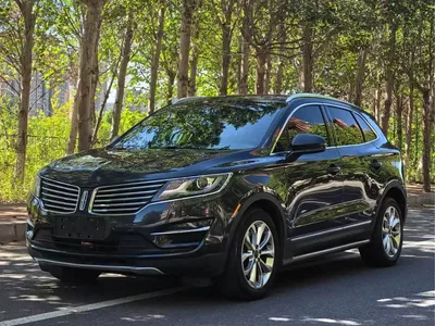 2014 Lincoln MKC 2.0T 2WD Elegance Edition, фото 1, лот 10445611