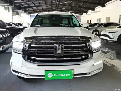 2024 Tank 500 EV Hi4-T, фото 3, лот 10345316