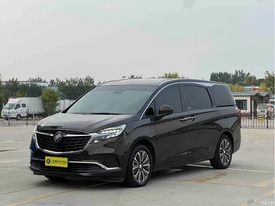 2021 Buick GL8 ES Landlord 653T Luxury, фото 1, лот 11212660