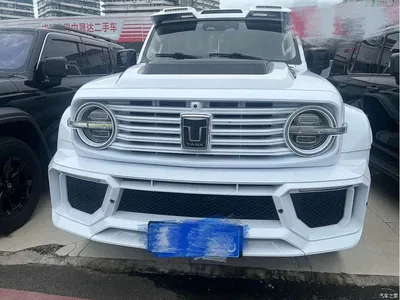 2023 Tank 300 Off-Road Edition 2.0T Conqueror, фото 2, лот 10889901