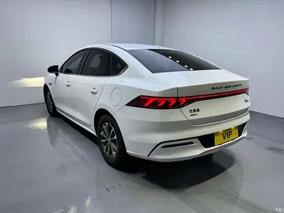 2021 BYD Qin PLUS DM-i 55KM Premium, фото 4, лот 10363665