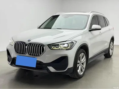 2020 BMW X1 sDrive20Li Fashion Model, фото 1, лот 10464929