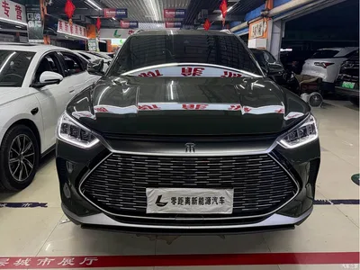 2021 BYD Song PLUS PHEV DM-i 110KM Flagship, фото 2, лот 11212801