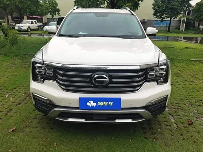 2017 GAC Trumpchi Trumpchi GS8 320T AWD Luxury Smart Connect (7-Seater), фото 2, лот 10416886